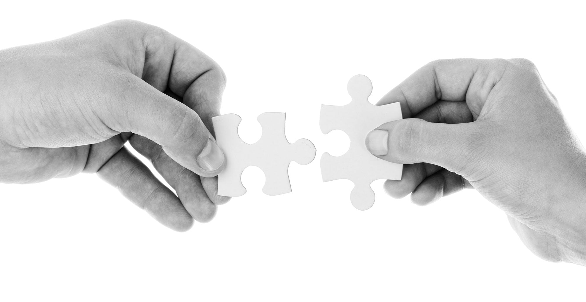 Only Make Connections – One Wholesome World